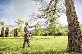 Best Weed Control  in Halsey, OR